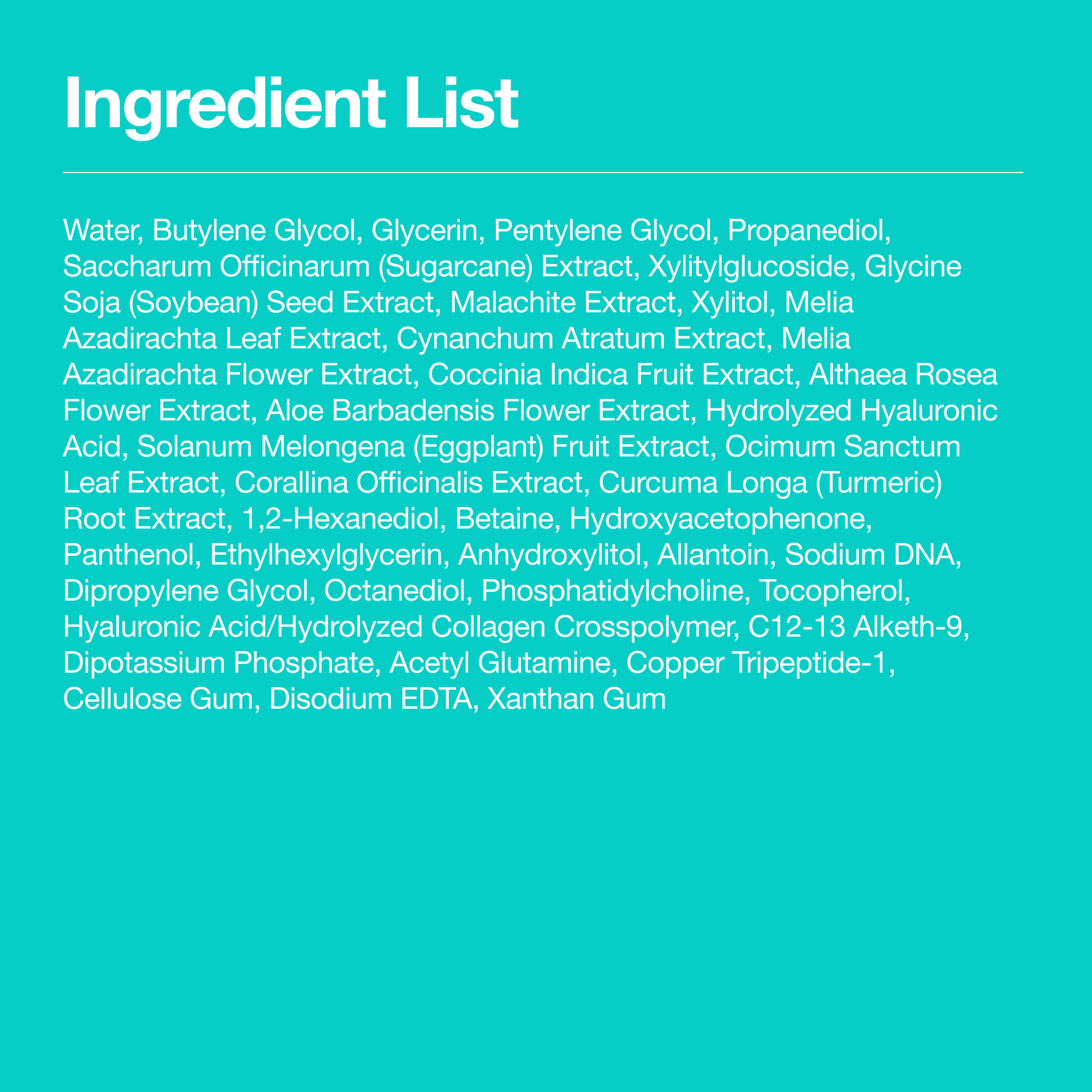 PDRN 100 Hyaluronic Acid Booster Toner